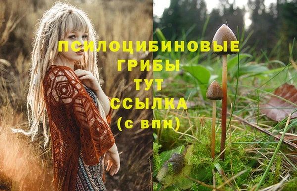 метадон Беломорск