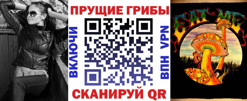 купить  цена  Кузнецк  Галлюциногенные грибы Cubensis 