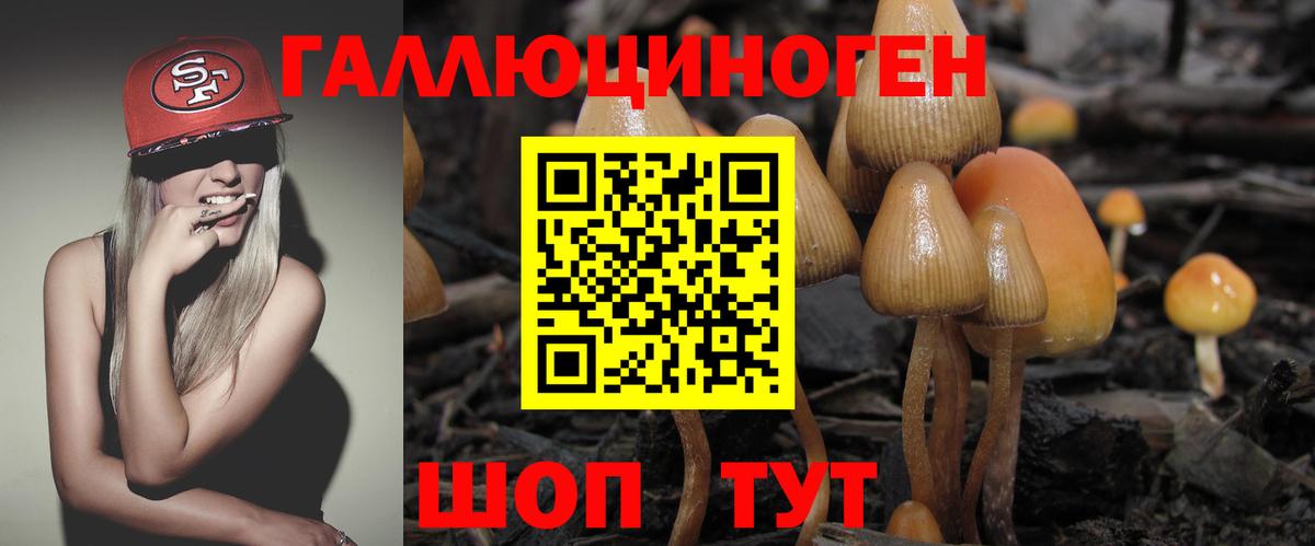 Кузнецк  Галлюциногенные грибы Magic Shrooms  Галлюциногенные грибы MAGIC MUSHROOMS  Вход с VPN 