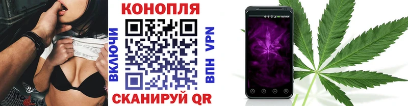 Канабис планчик наркотики маркетплейс официальный сайт Кузнецк